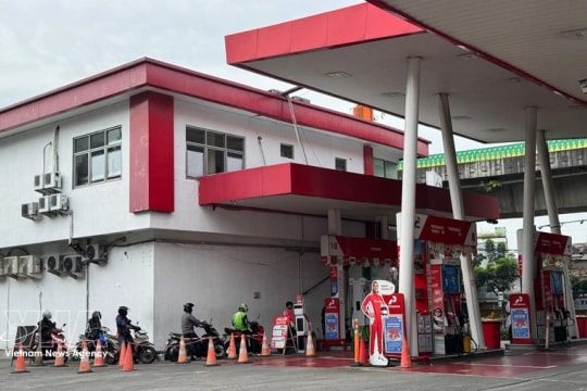 Indonesian expert offers ideas for Vietnam’s energy security