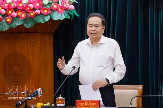 Inspection, supervision report of Ho Chi Minh City Party Committee’s Standing Board approved
