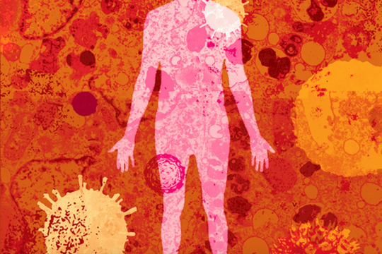 Bất ngờ: Virus có thể “ở lì” trong cơ thể người cả đời mà không gây bệnh