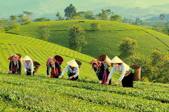 Chuyển mạnh từ hỗ trợ sang tạo động lực phát triển