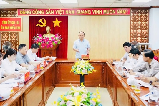 Gia Lai: Kiểm tra, giám sát phải đi trước một bước để phòng ngừa sai phạm