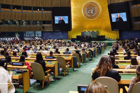 Gender equality promotion - A shared responsibility of society: Ambassador