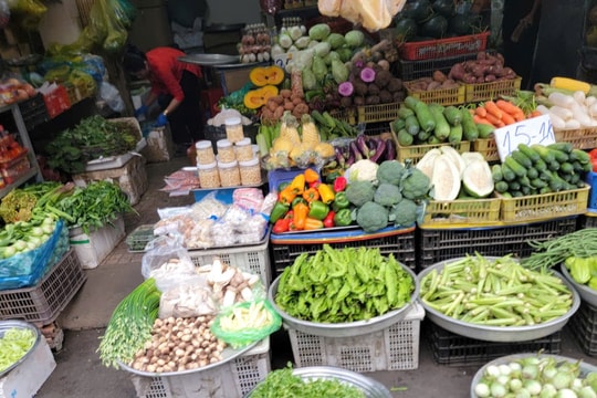 TP. Hồ Chí Minh: Kiểm tra định kỳ, đột xuất về an toàn thực phẩm