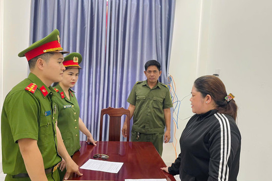 Bắt giám đốc công ty xây dựng trốn thuế hơn 700 triệu đồng
