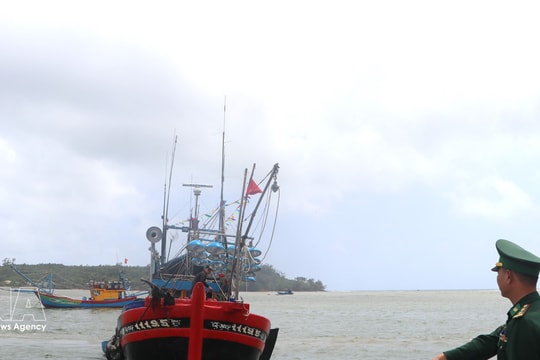 Vietnam issues new control procedures to tackle IUU fishing