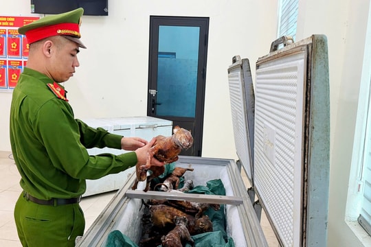 Nhóm chuyên trộm “tiểu hổ” bị bắt