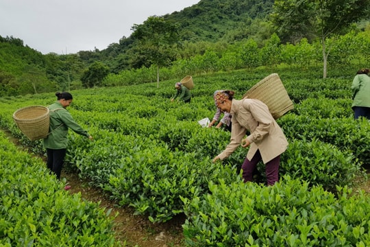 Thách thức trong thực hiện chương trình mục tiêu quốc gia