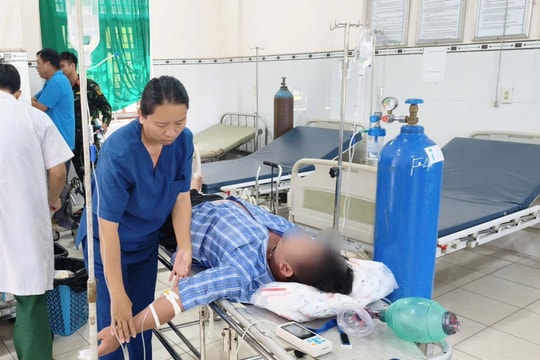 An Giang: Cấp cứu thành công 3 trường hợp sốc phản vệ do bị ong đốt