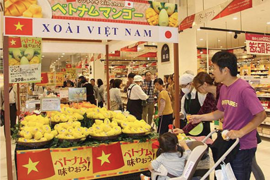 Đẩy mạnh phát triển kênh phân phối hàng Việt ở nước ngoài
