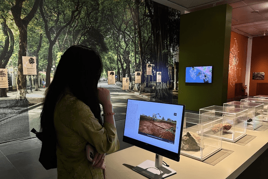 Gen Z đến bảo tàng học lịch sử