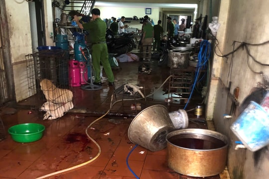 Xã Đa Phúc (Hà Nội): Phát hiện điểm thu gom, tiêu thụ chó nghi trộm cắp