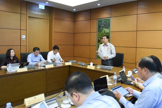 Chiều 8/4/2026: Thảo luận Tổ 13 (Quảng Trị, An Giang)
