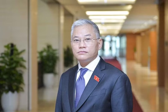PM appoints new deputy head of Government Office