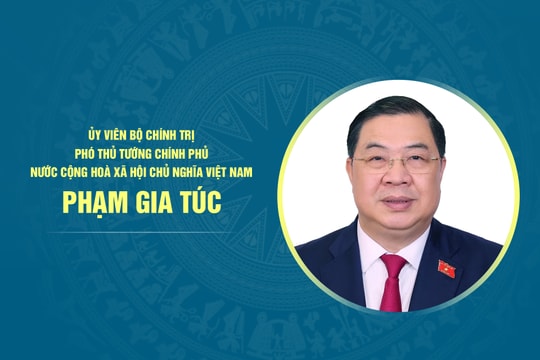 Tiểu sử Phó Thủ tướng Chính phủ Phạm Gia Túc