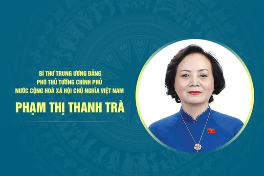 Tiểu sử Phó Thủ tướng Chính phủ Phạm Thị Thanh Trà