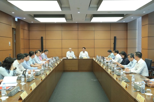 Chiều 8/4/2026: Thảo luận Tổ 15 (Đà Nẵng, Phú Thọ)