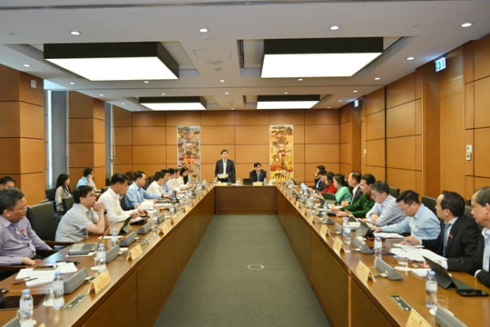 Chiều 8/4/2026: Thảo luận Tổ 9 (Cần Thơ, Lạng Sơn, Lai Châu)