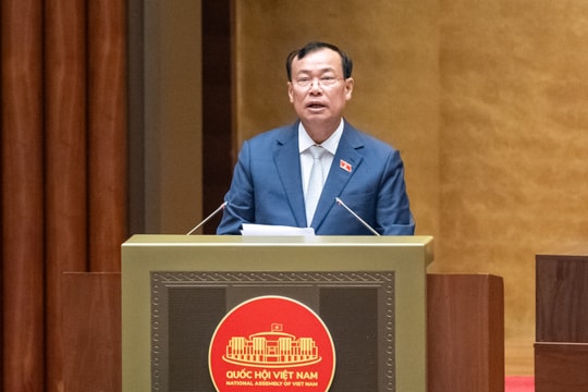 Thống nhất quản lý, tăng cường tính chuyên nghiệp trong hoạt động của cơ quan đại diện