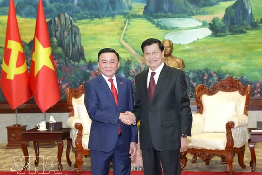 Key Vietnamese Party official meets with top Lao leader in Vientiane