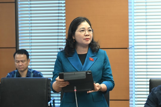 Sáng 9/4/2026: Thảo luận Tổ 8 (Bắc Ninh và Cà Mau)