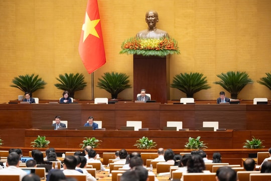 Chiều 09/04/2026: Quốc hội họp phiên toàn thể nghe các Tờ trình và Báo cáo thẩm tra về một số lĩnh vực.