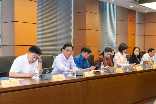 Thông tin phải được coi là dữ liệu, nguồn tài nguyên trong quản lý và phát triển