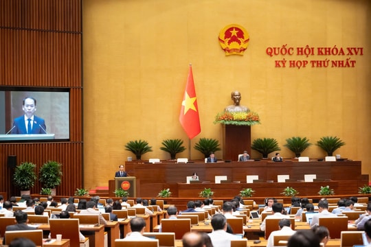 Sáng 09/04/2026: Quốc hội nghe Tờ trình và Báo cáo thẩm tra về các dự án luật
