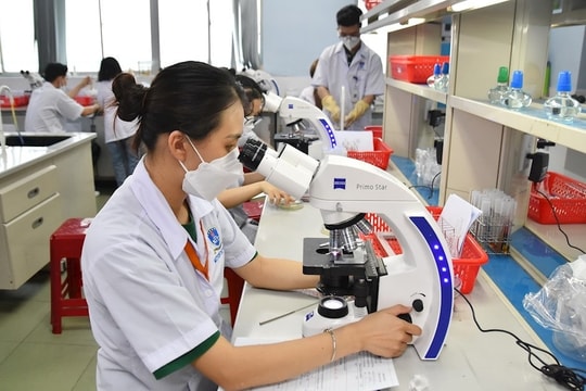 TP. Hồ Chí Minh: Chủ động nguồn nhân lực cho các ngành kinh tế mũi nhọn