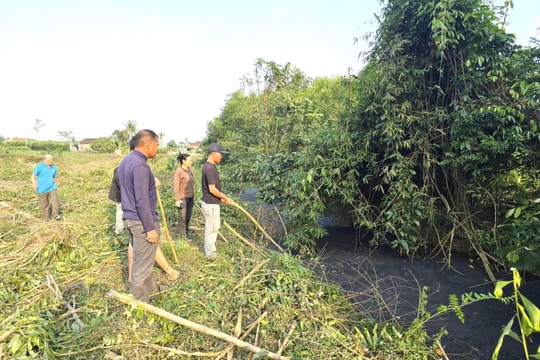 Nghệ An: Phạt hành chính hai trang trại lợn gây ô nhiễm