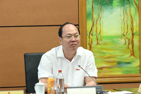 Sáng 10/4/2026, Thảo luận Tổ 8 (Bắc Ninh và Cà Mau)