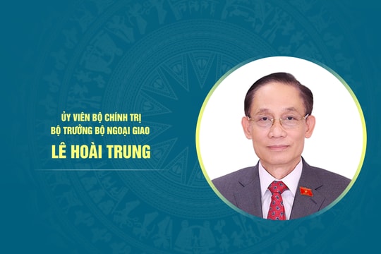 Tiểu sử Bộ trưởng Bộ Ngoại giao Lê Hoài Trung
