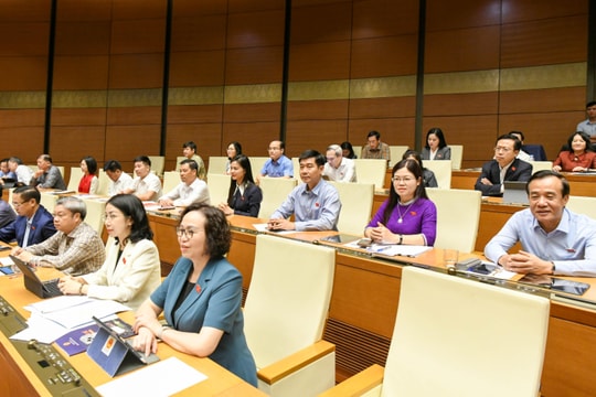 Tạo chuyển biến thực chất về chất lượng thể chế