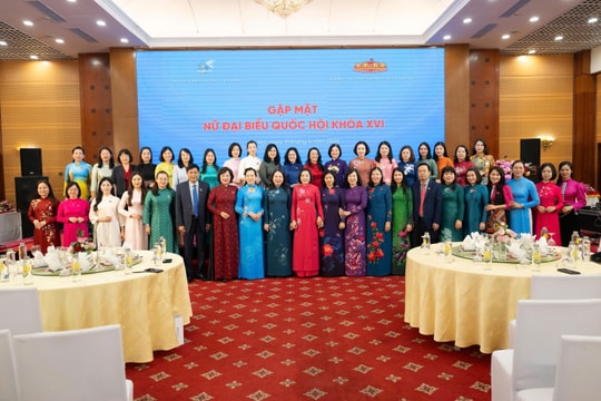 Nữ ĐBQH tiếp tục phát huy bản lĩnh tham gia vào các vấn đề lớn của đất nước