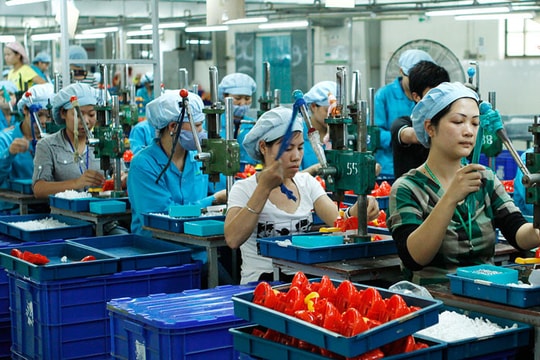 Doanh nghiệp chọn tạm ngừng hoạt động để "chờ thời", thay vì giải thể