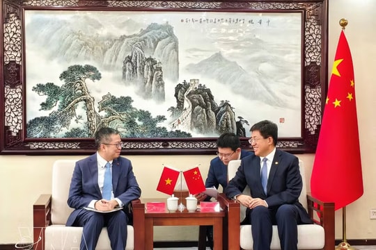 Vietnam, China strengthen youth exchanges to deepen bilateral ties