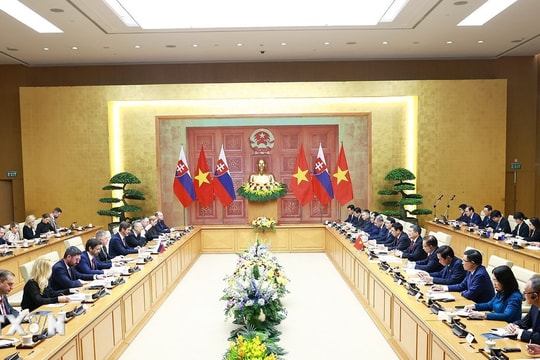 Thủ tướng Chính phủ Lê Minh Hưng hội đàm với Thủ tướng Cộng hòa Slovakia Robert Fico