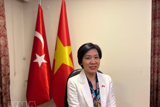 IPU-152 attendance showcases Vietnam’s dual-track diplomatic priorities: diplomat