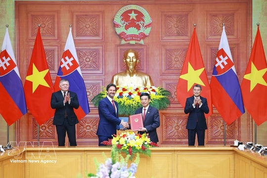 Vietnamese, Slovak PMs witness exchange of documents, chair joint press briefing