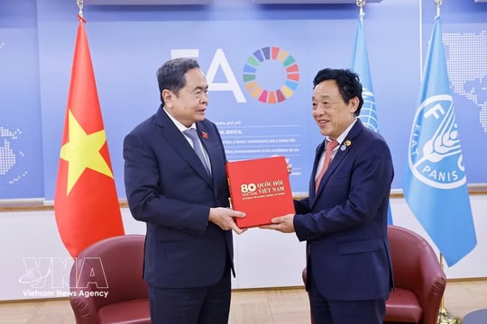 Vietnam views FAO as leading partner in agricultural, rural development: NA Chairman