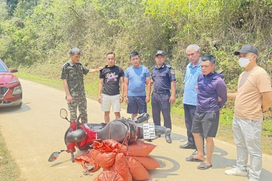 Hải quan bắt giữ hơn 59,2kg vảy nghi của tê tê tại Cao Bằng