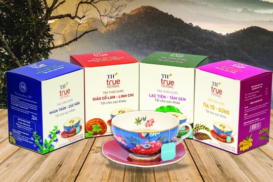 Từ tư duy chiến lược đến hành động của Tập đoàn TH