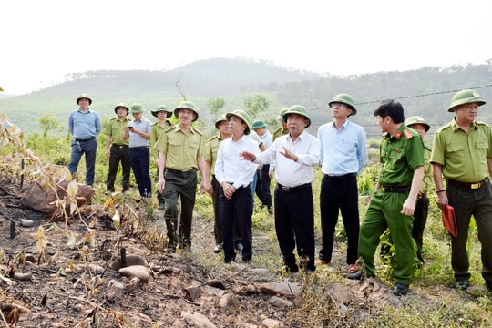 Nghệ An tăng cường giữ rừng trong cao điểm nắng nóng