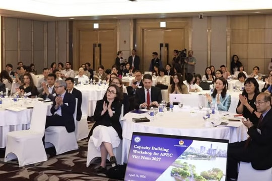 Capacity-building workshop prepares participants for APEC Vietnam 2027