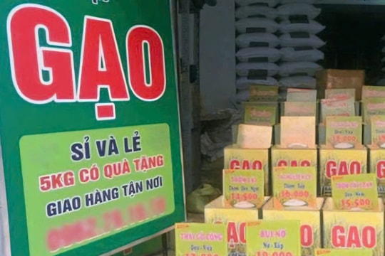 TP. Hồ Chí Minh: Bình ổn sản xuất, tiêu thụ lúa gạo trong tình hình mới