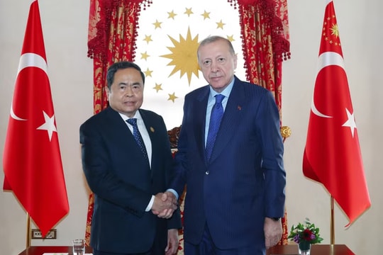 Vietnamese NA Chairman meets Turkish President