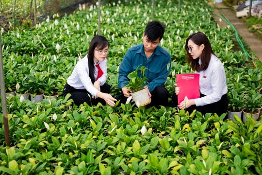Agribank - điểm tựa vững chắc cho người dân và doanh nghiệp