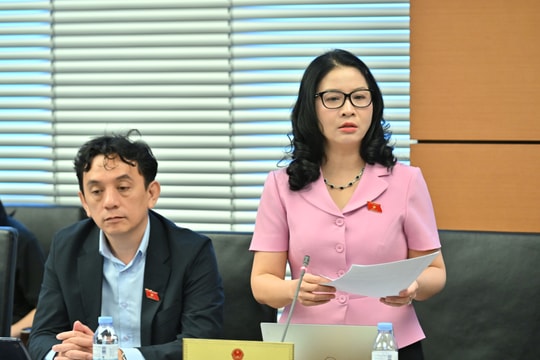 Bảo đảm phát triển hài hòa giữa công nghiệp, đô thị và nông nghiệp bền vững