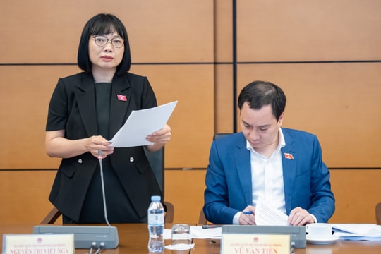 Ngày 20/4/2026: Thảo luận tổ 11 (Tp. Hải Phòng - Quảng Ngãi)