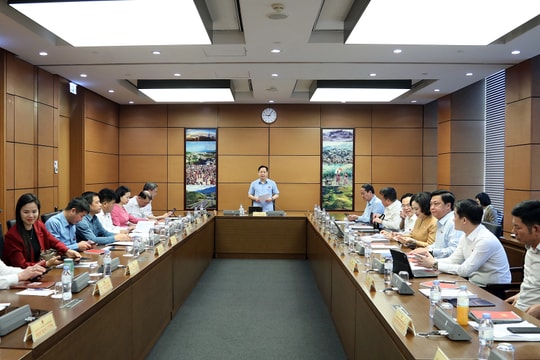 Bổ sung các cơ chế thu hút ưu đãi đầu tư trong lĩnh vực văn hóa