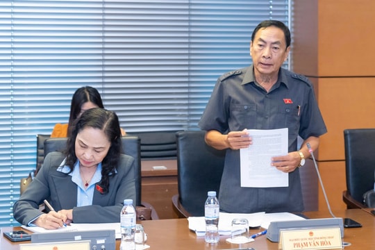 Hoàn thiện cơ chế pháp lý thí điểm luật sư công